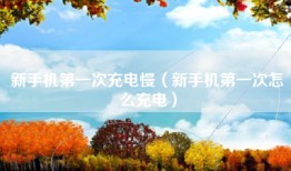 新手机第一次充电慢（新手机第一次怎么充电）