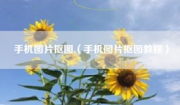 手机图片抠图（手机图片抠图教程）