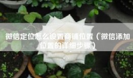 微信定位怎么设置商铺位置（微信添加位置的详细步骤）