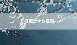 抵顶是什么意思