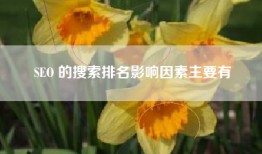 SEO 的搜索排名影响因素主要有
