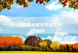 详解数据服务共享发布
