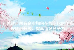 刘善武：国有企业如何在数字化时代实现转型升级、提高市场竞争力