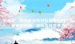 刘善武：国有企业如何在数字化时代实现转型升级、提高市场竞争力