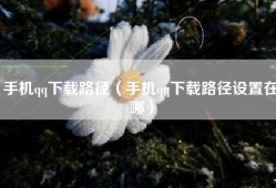 手机qq下载路径（手机qq下载路径设置在哪）