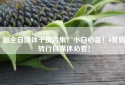 超全自媒体干货合集！小白必备！0基础转行自媒体必看！
