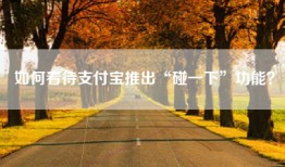 如何看待支付宝推出“碰一下”功能？
