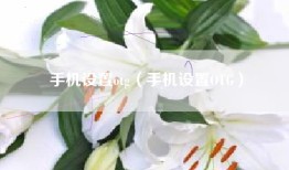 手机设置otg（手机设置OTG）