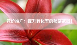 竞价推广：提升转化率的秘密武器！