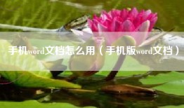 手机word文档怎么用(手机版word文档)