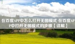 在百度APP中怎么打开无图模式 在百度APP中打开无图模式的步骤【详解】