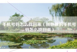 手机号码怎么找回来（刚删除的手机号码怎么找回来）