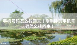 手机号码怎么找回来（刚删除的手机号码怎么找回来）
