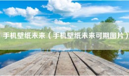 手机壁纸未来（手机壁纸未来可期图片）