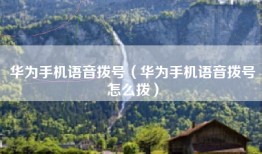 华为手机语音拨号（华为手机语音拨号怎么拨）