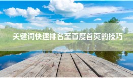 关键词快速排名至百度首页的技巧