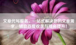 文章代写服务，一站式解决您的文章需求，辅助百度收录与排名提升！