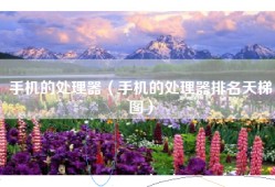 手机的处理器（手机的处理器排名天梯图）