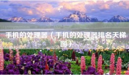 手机的处理器（手机的处理器排名天梯图）