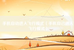 手机自动进入飞行模式（手机自己进入飞行模式）