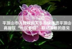 平顶山市人民政府关于加快推进平顶山高新区“一区多园” 联动发展的意见