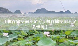 手机存储空间不足（手机存储空间不足会卡吗）