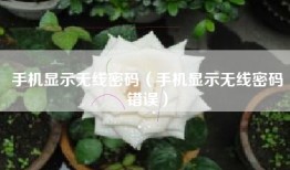 手机显示无线密码（手机显示无线密码错误）