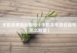 手机来电语音报号（手机来电语音报号怎么取消）
