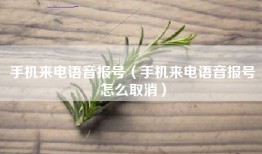 手机来电语音报号（手机来电语音报号怎么取消）