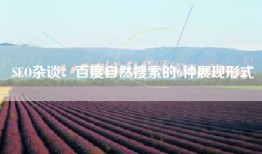 SEO杂谈：百度自然搜索的6种展现形式