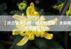 【找合伙人】碰一碰支付上新，全新模式招募合伙人