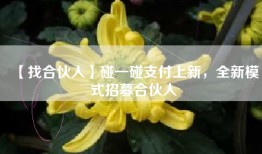 【找合伙人】碰一碰支付上新，全新模式招募合伙人