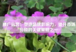 推广运营：塑造品牌影响力，提升市场份额的关键策略之一
