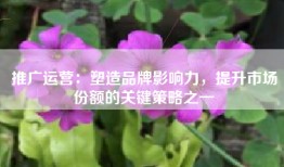 推广运营：塑造品牌影响力，提升市场份额的关键策略之一