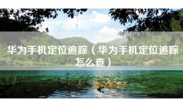 华为手机定位追踪（华为手机定位追踪怎么查）
