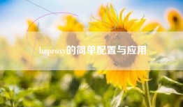 haproxy的简单配置与应用