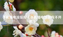 手机插电没反应（手机插电没反应不开机）