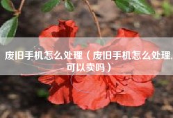 废旧手机怎么处理（废旧手机怎么处理,可以卖吗）