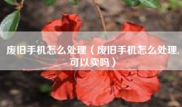 废旧手机怎么处理（废旧手机怎么处理,可以卖吗）
