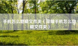 手机怎么隐藏文件夹（荣耀手机怎么隐藏文件夹）