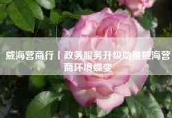 威海营商行丨政务服务升级助推威海营商环境蝶变