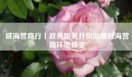 威海营商行丨政务服务升级助推威海营商环境蝶变