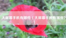 大屏幕手机有哪些（大屏幕手机有哪些？）