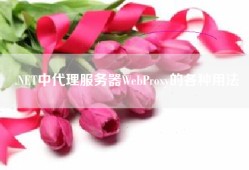 .NET中代理服务器WebProxy的各种用法