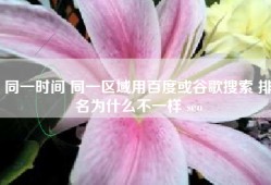 同一时间 同一区域用百度或谷歌搜索 排名为什么不一样 seo