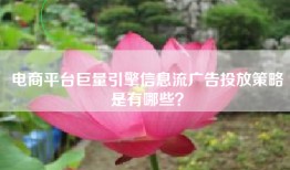 电商平台巨量引擎信息流广告投放策略是有哪些？