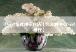 亚马逊快速赚钱方法（怎么利用亚马逊赚钱）
