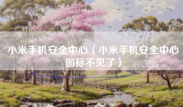 小米手机安全中心（小米手机安全中心图标不见了）