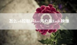 怎么ssh拉取docker开心版Emby映像