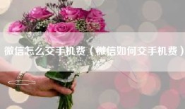 微信怎么交手机费（微信如何交手机费）